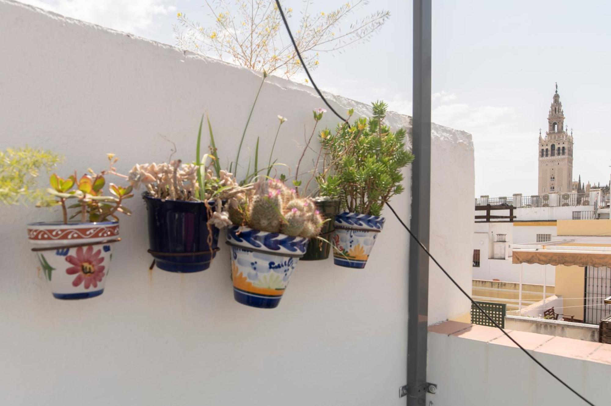 Alohamundi Chicarreros Catedral Appartement Séville